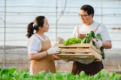 Nhân viên kỹ thuật của Nam Đô hướng dẫn bà con canh tác
