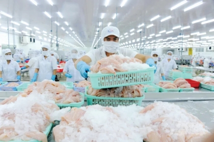 Yêu cầu đối với thủy sản xuất khẩu vào một số thị trường trọng điểm