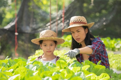 Nhân viên kỹ thuật của Nam Đô hướng dẫn bà con canh tác