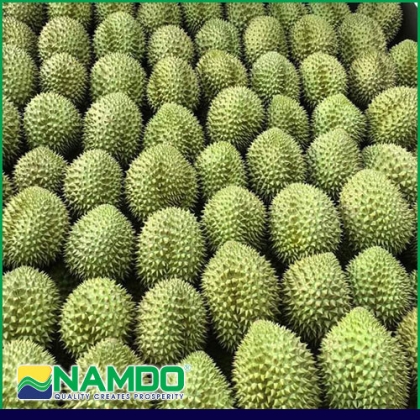 Quả sầu riêng