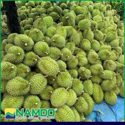 Sầu riêng xuất khẩu