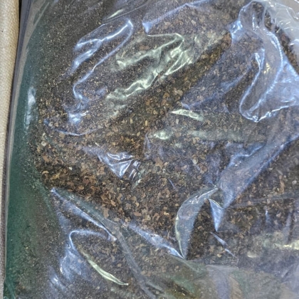 Vỏ cà phê sấy