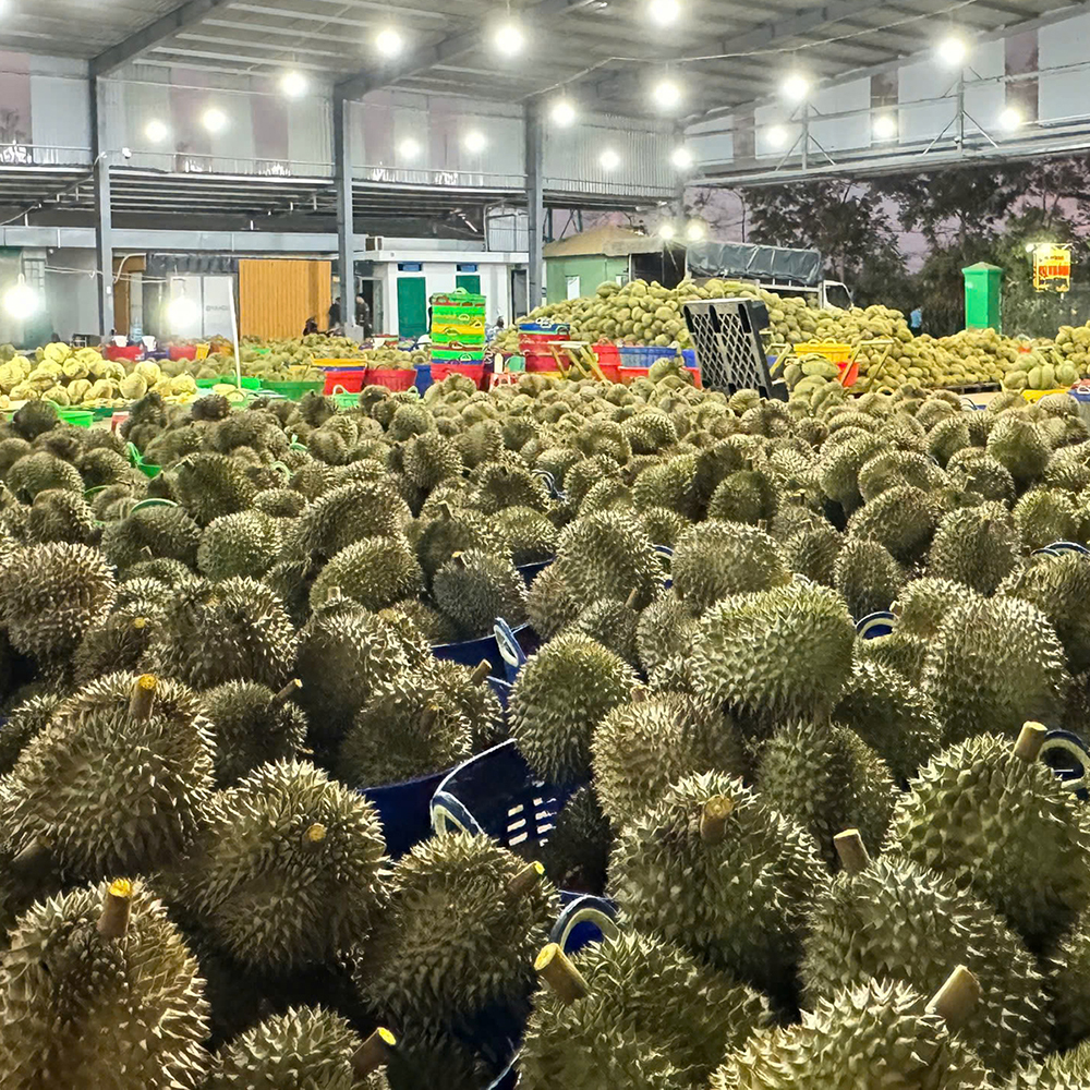 Sầu riêng